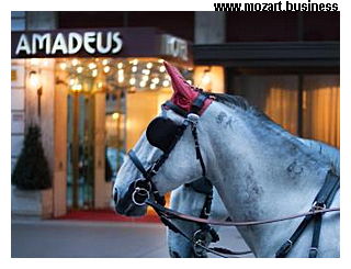Hotel Amadeus
